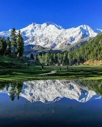 Fairy Meadows